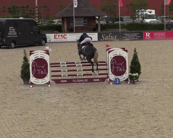 Belgisch Kampioenschap 4-5 Jarigen Paarden