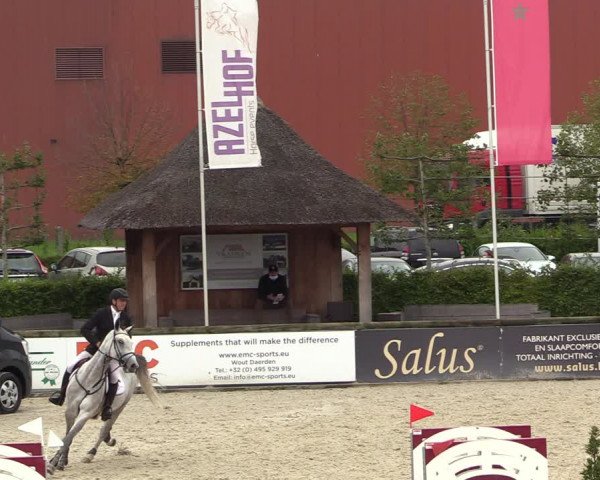 Belgisch Kampioenschap 4-5 Jarigen Paarden