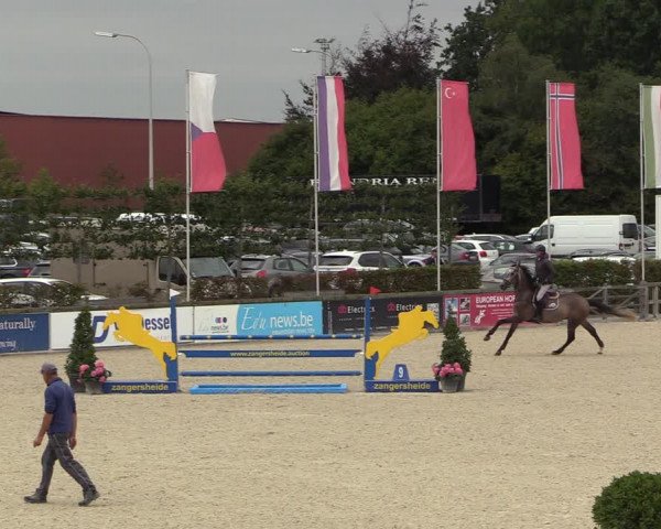 Belgisch Kampioenschap 4-5 Jarigen Paarden