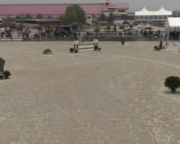Belgisch Kampioenschap 4-5 Jarigen Paarden