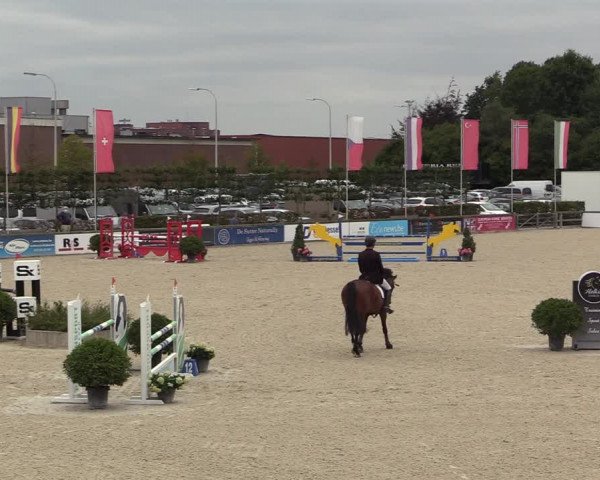 Belgisch Kampioenschap 4-5 Jarigen Paarden