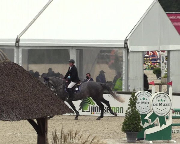 Belgisch Kampioenschap 4-5 Jarigen Paarden