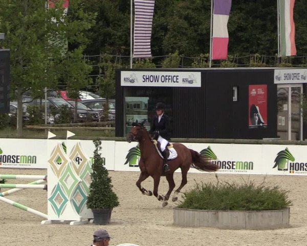 Belgisch Kampioenschap 4-5 Jarigen Paarden