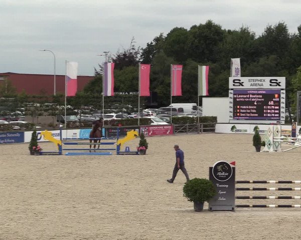 Belgisch Kampioenschap 4-5 Jarigen Paarden