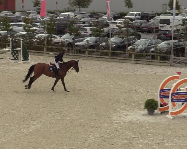 Belgisch Kampioenschap 4-5 Jarigen Paarden