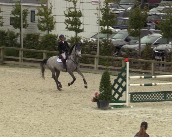 Belgisch Kampioenschap 4-5 Jarigen Paarden