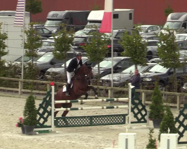 Belgisch Kampioenschap 4-5 Jarigen Paarden