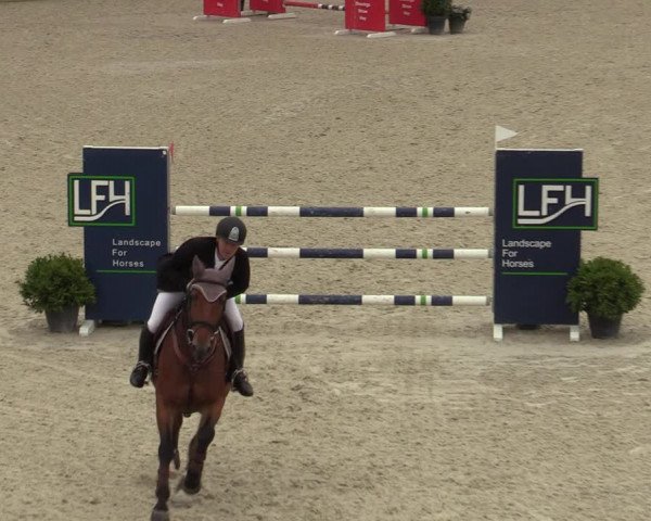 Belgisch Kampioenschap 4-5 Jarigen Paarden