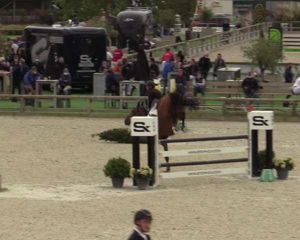 Belgisch Kampioenschap 4-5 Jarigen Paarden