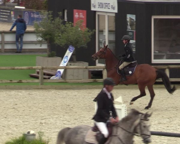 Belgisch Kampioenschap 4-5 Jarigen Paarden
