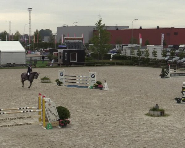 Belgisch Kampioenschap 4-5 Jarigen Paarden