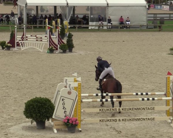 Belgisch Kampioenschap 4-5 Jarigen Paarden