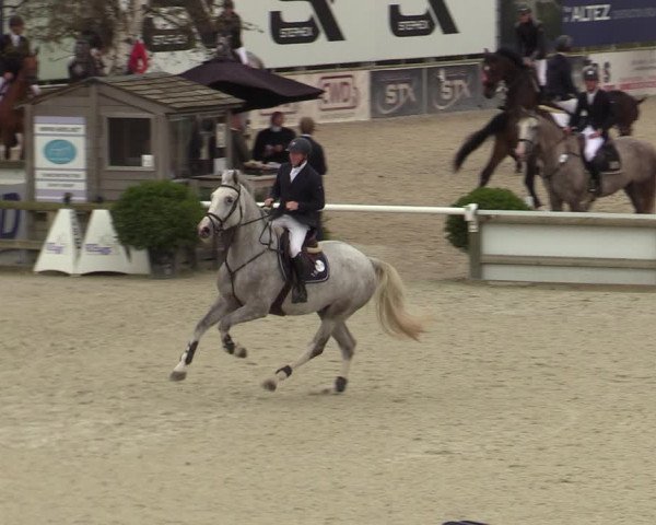 Belgisch Kampioenschap 4-5 Jarigen Paarden