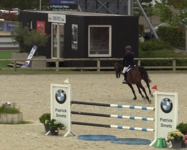 Belgisch Kampioenschap 4-5 Jarigen Paarden