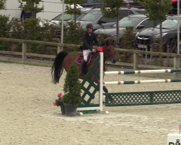 Belgisch Kampioenschap 4-5 Jarigen Paarden