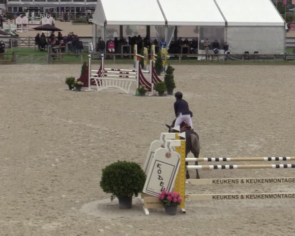 Belgisch Kampioenschap 4-5 Jarigen Paarden