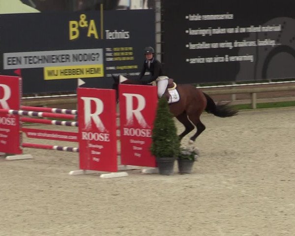 Belgisch Kampioenschap 4-5 Jarigen Paarden
