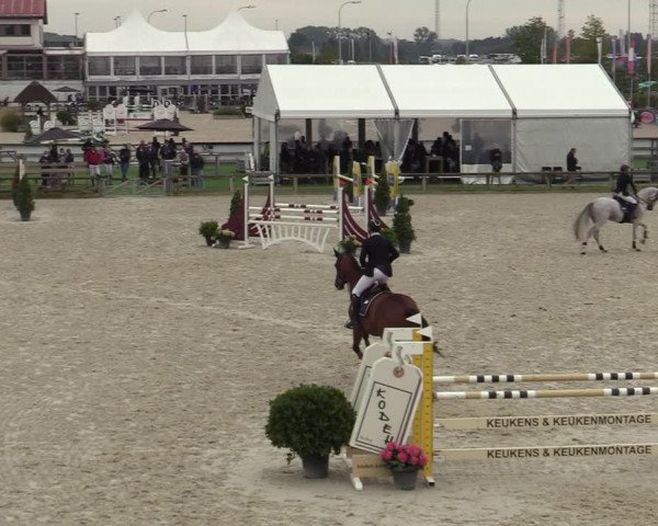 Belgisch Kampioenschap 4-5 Jarigen Paarden