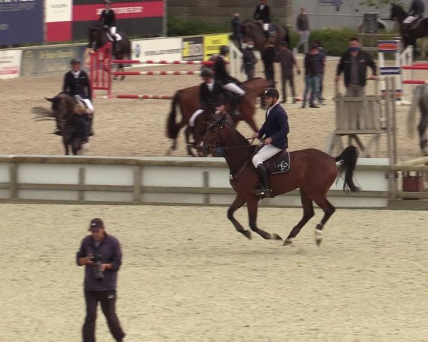 Belgisch Kampioenschap 4-5 Jarigen Paarden