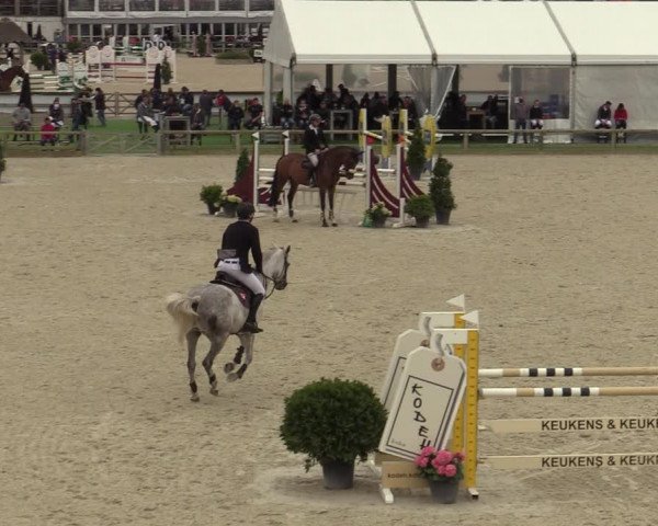 Belgisch Kampioenschap 4-5 Jarigen Paarden
