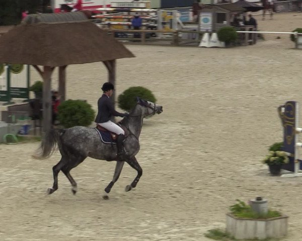 Belgisch Kampioenschap 4-5 Jarigen Paarden
