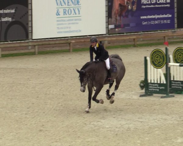 Belgisch Kampioenschap 4-5 Jarigen Paarden