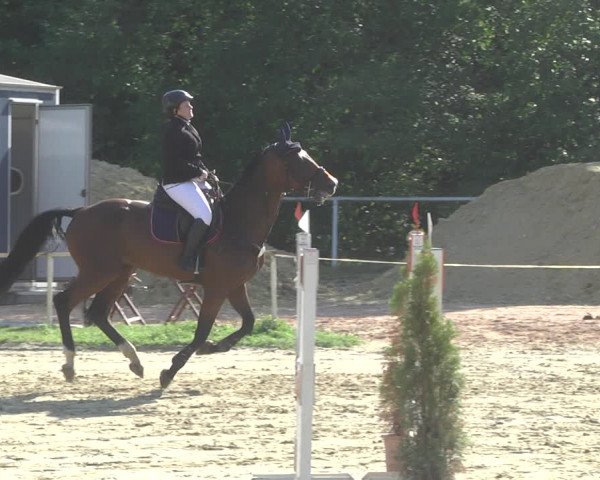 Reitturnier Heiligenwald 2020