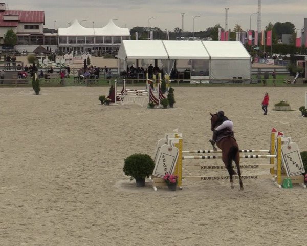 Belgisch Kampioenschap 4-5 Jarigen Paarden