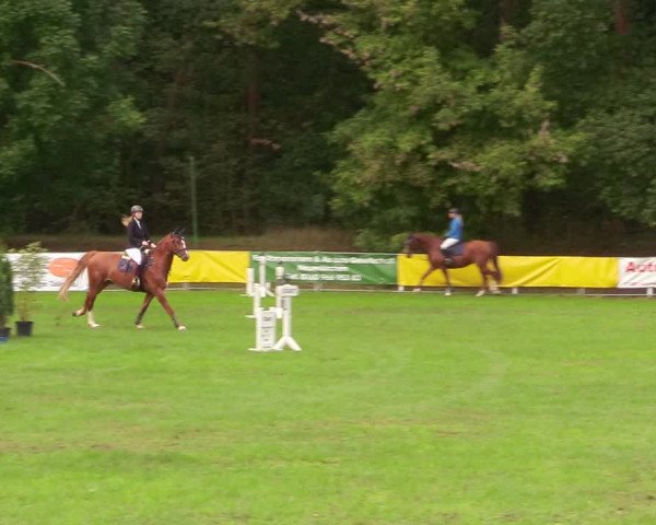 Reitturnier Pasewalk 2020