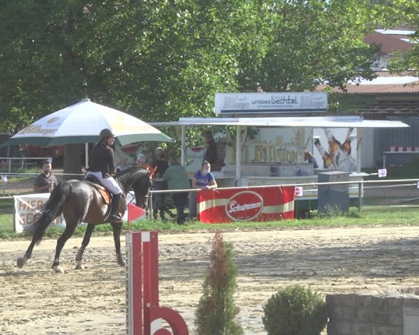 Reitturnier Heiligenwald 2020