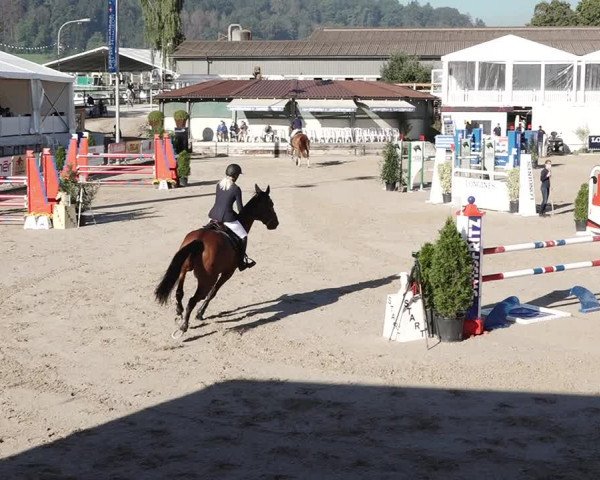 Reitturnier Humlikon 2020