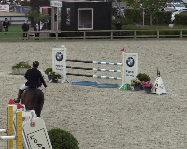 Belgisch Kampioenschap 4-5 Jarigen Paarden