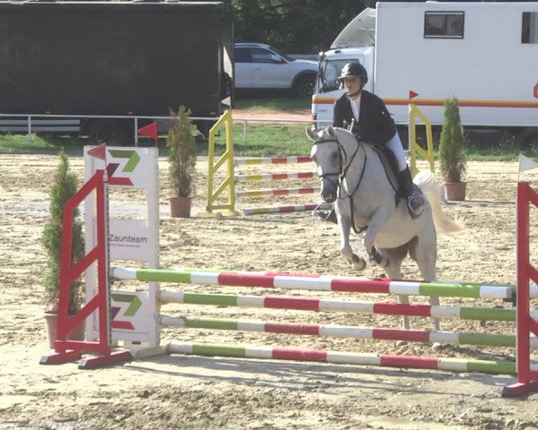 Reitturnier Heiligenwald 2020