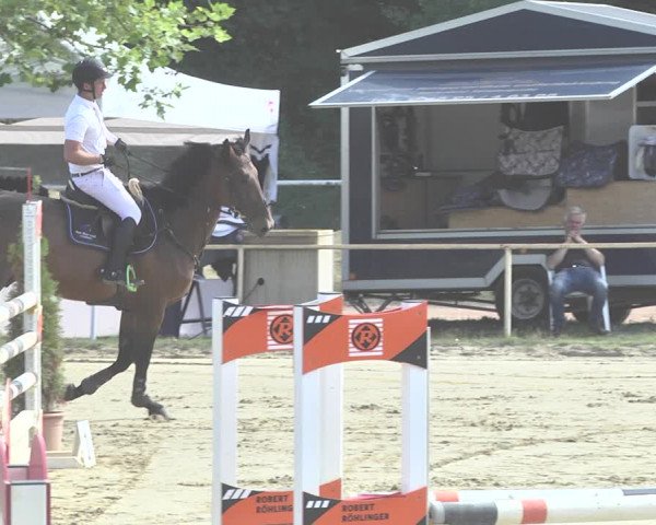 Reitturnier Heiligenwald 2020