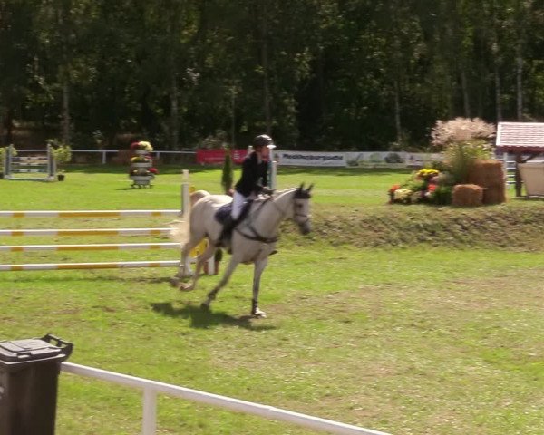 Reitturnier Pasewalk 2020