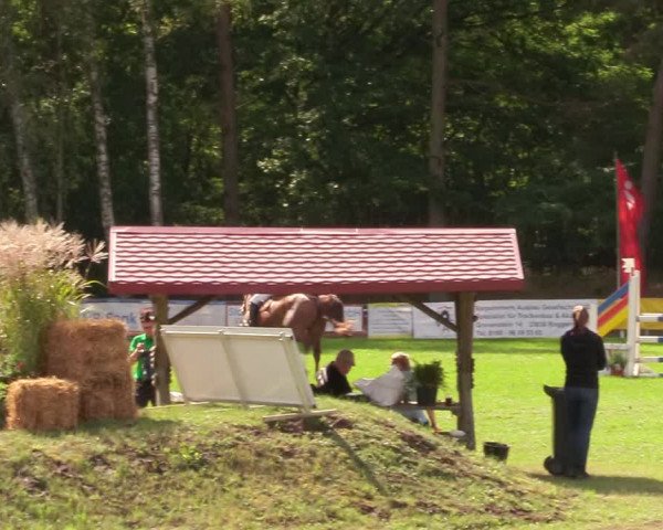 Reitturnier Pasewalk 2020
