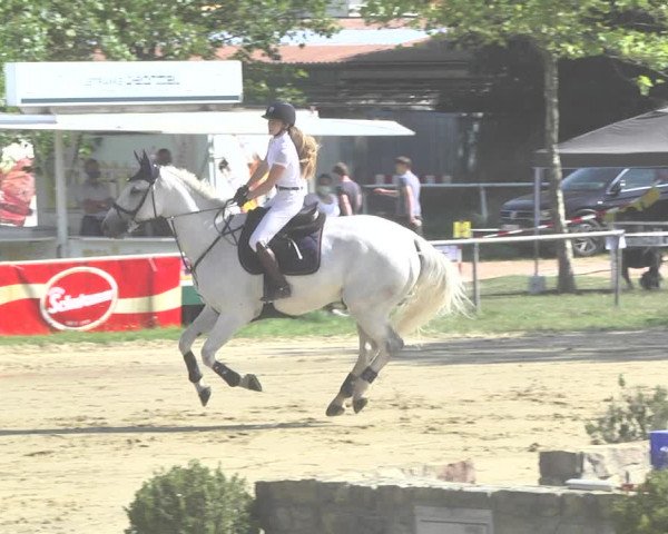 Reitturnier Heiligenwald 2020