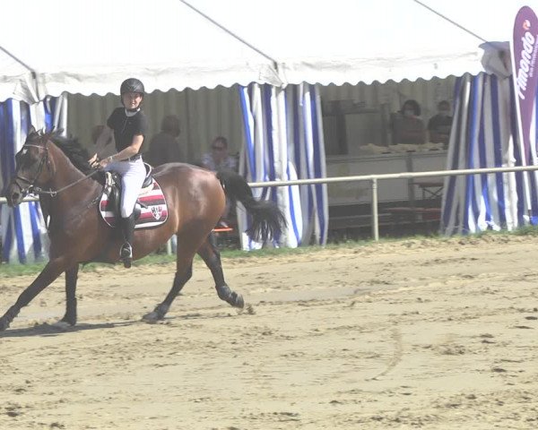 Reitturnier Heiligenwald 2020