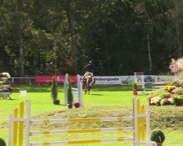 Reitturnier Pasewalk 2020