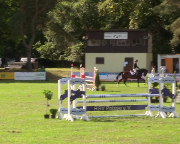 Reitturnier Pasewalk 2020