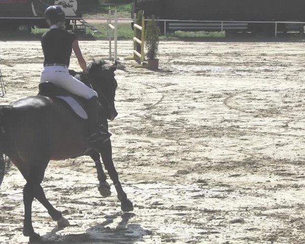 Reitturnier Heiligenwald 2020