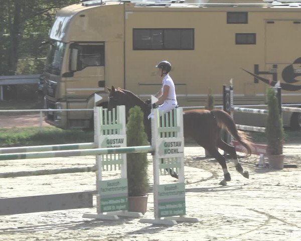 Reitturnier Heiligenwald 2020