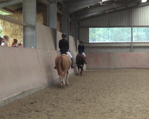 Reitturnier Eitorf-Lindscheid 2020