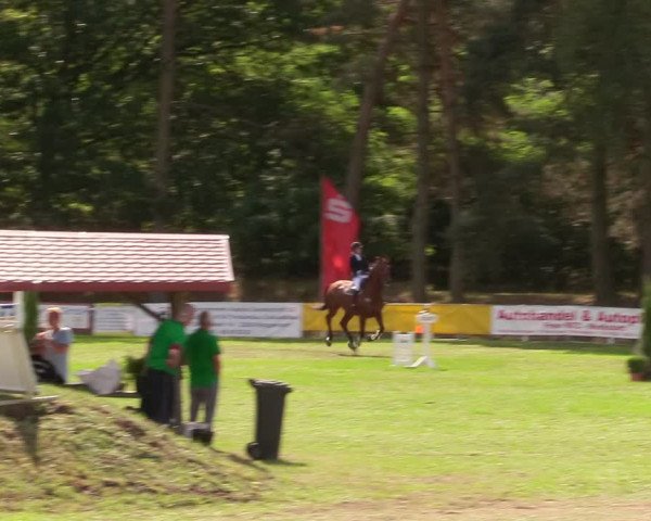 Reitturnier Pasewalk 2020