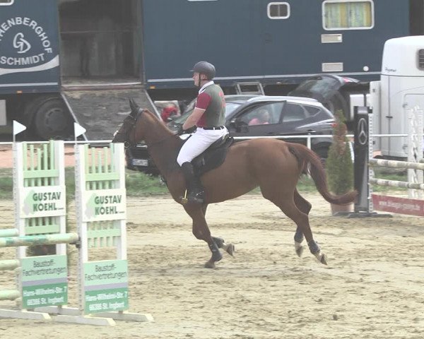 Reitturnier Heiligenwald 2020