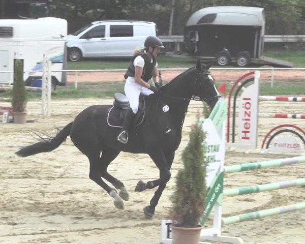 Reitturnier Heiligenwald 2020