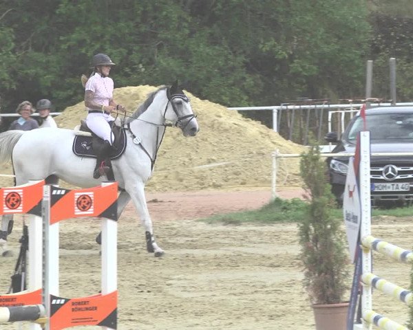 Reitturnier Heiligenwald 2020