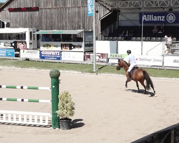 Reitturnier Humlikon 2020