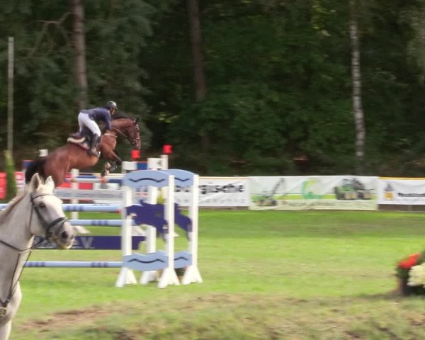 Reitturnier Pasewalk 2020
