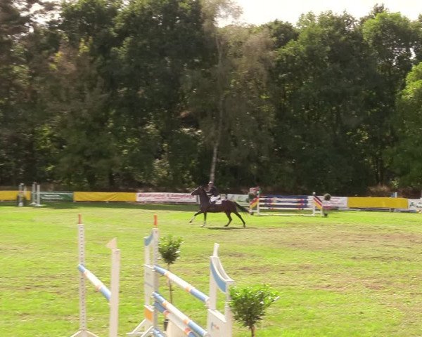 Reitturnier Pasewalk 2020